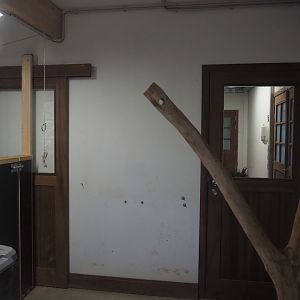Room in koala house with koala scale and Brown Dorcopsis indoor exhibit, 2023-10-13
