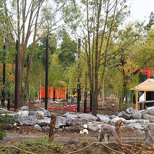 Japanese world The Land of The Rising Sun construction - Large aviary?, 2023-10-13