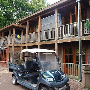 Australian bird house with ongoing renovations, 2023-10-13