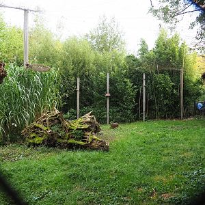 Saddle-billed stork and Hamerkop aviary, 2023-10-13