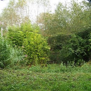 Saddle-billed stork and Hamerkop aviary, 2023-10-13