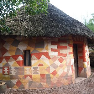 Saddle-billed stork and Hamerkop barn, 2023-10-13