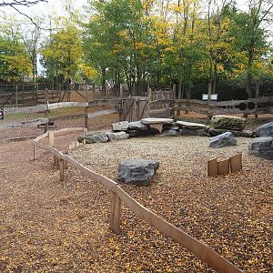 African spurred tortoise, Anglo-Nubian goat and Cameroon sheep walk-through exhibit, 2023-10-13