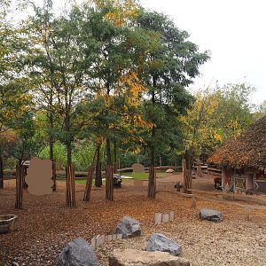African spurred tortoise, Anglo-Nubian goat and Cameroon sheep walk-through exhibit, 2023-10-13