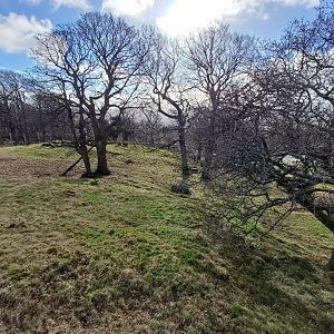 Ex Giant Panda enclosure