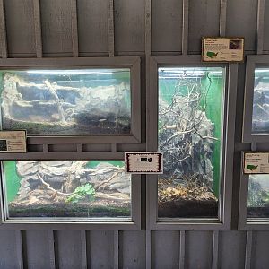 Reflection Riding - Reptile exhibit wall
