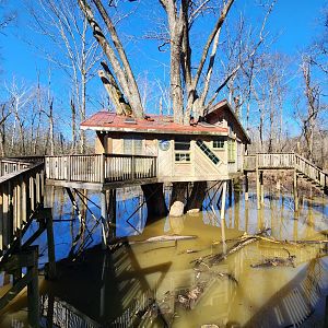 Reflection Riding - Treehouse area