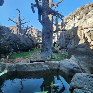 Zoo Knoxville - Bear enclosure (mock-rock paradise)