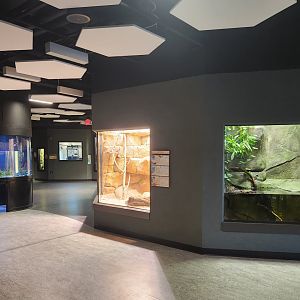 Zoo Knoxville - Inside the ARC