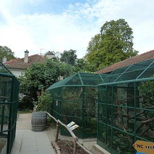 Bolivian squirrel monkey & Cotton-top tamarin enclosures