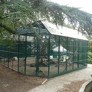 Bioparc Genève - Parrot aviary