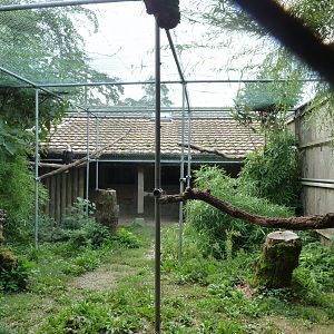 Bioparc Genève - Bald eagle aviary