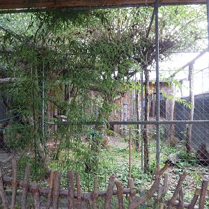 Bioparc Genève - Fossa enclosure