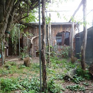 Bioparc Genève - Fossa enclosure