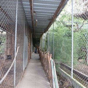 Bioparc Genève - Predator visitor path