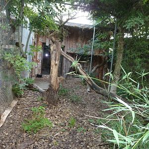 Bioparc Genève - Serval enclosure