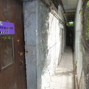 Bioparc Genève - Visitor tour