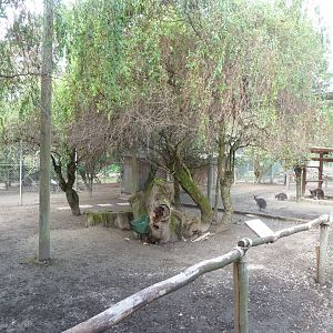 Bioparc Genève - Red-necked wallaby enclosure