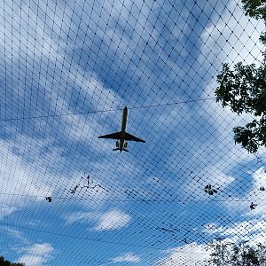 Bioparc Genève - Above the European wildcat enclosure