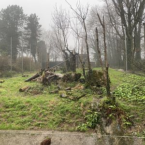 Jaguar enclosure 140224