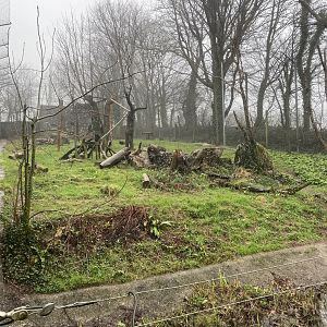 Jaguar enclosure 140224