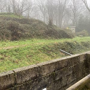 Cheetah enclosure 140224