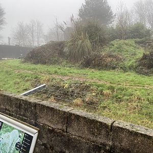 Cheetah enclosure 140224
