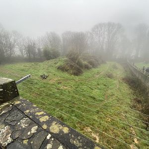 Cheetah enclosure 140224