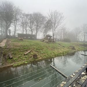 Siberian tiger enclosure 140224