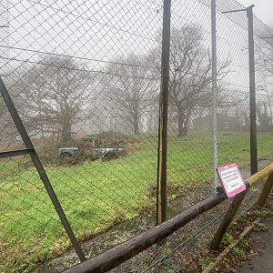 Lion enclosure 140224