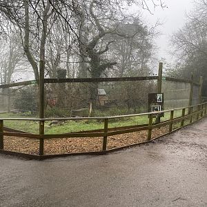 White-faced saki enclosure 140224
