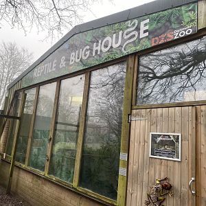 Reptile & Bug House 140224
