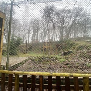 Amur leopard enclosure 140224