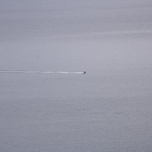 Halibut Fisherman Sailing to the Kelp Forest off of Bishops Beach