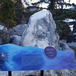 Wild Canada: Sign in the Rocky Mountains