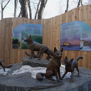 Wild Canada: Swift Fox Statues