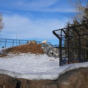 Wild Canada: TFF Polar Bear Sanctuary Lookout