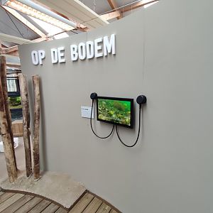 Indoor area - Wadden Sea, life at the bottom of the sea