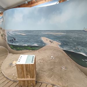 Indoor area - Wadden Sea, life in the sea