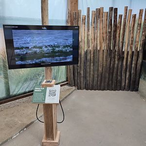 Indoor area - Wadden Sea, films