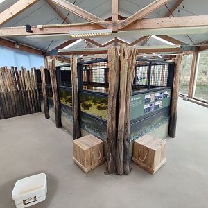 Indoor area - Wadden Sea, aquarium