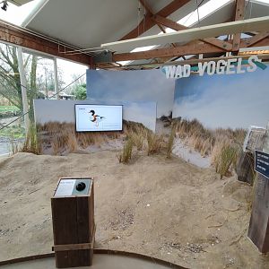 Indoor area - Wadden Sea, birds