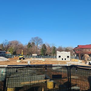 Chattanooga Zoo - Cape Of Africa exhibit construction area
