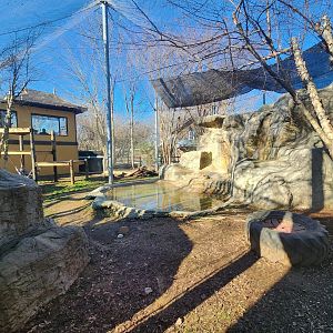 Chattanooga Zoo - Snow Leopard enclosure