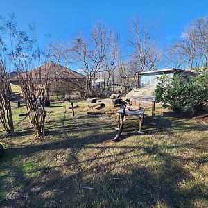 Chattanooga Zoo - Cougar enclosure