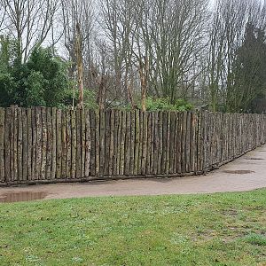 Former Bush Dog Exhibit at Twycross Zoo, 11th February 2024