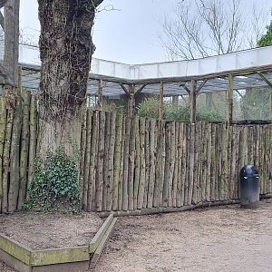 Former Owl Aviaries at Twycross Zoo, 11th February 2024
