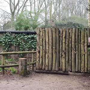 Former Yellow-throated Martin Exhibit at Twycross Zoo, 11th February 2024