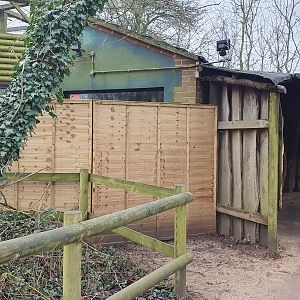 Former Monkey Exhibit at Twycross Zoo, 11th February 2024