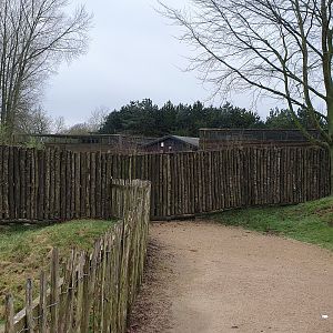 Path to Former Lemur House and Tufted Deer Paddock at Twycross Zoo, 11th February 2024